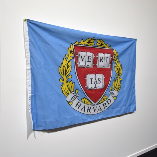 Custom Flag Double sided - 4ft x 6ft